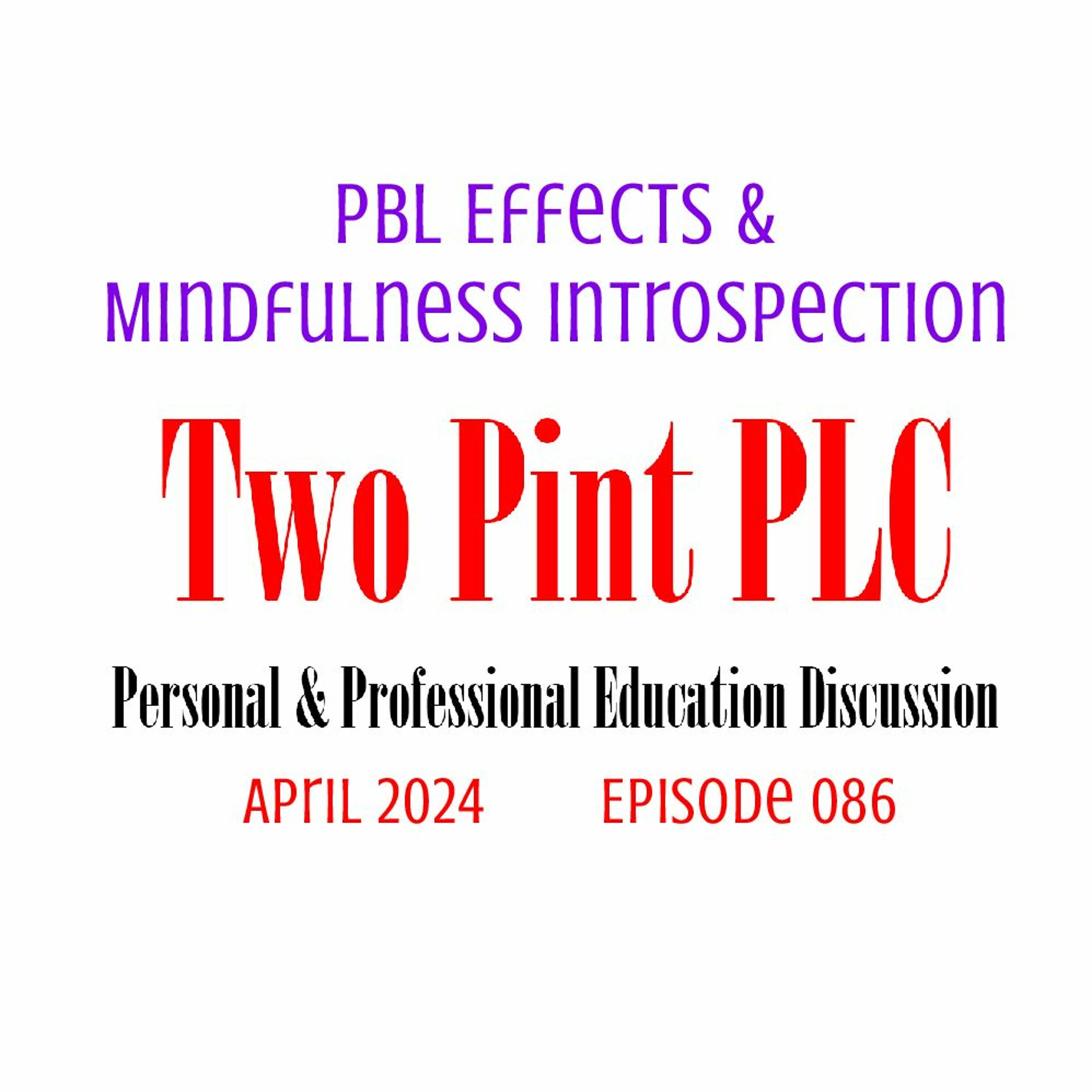086 PBL Effects & Mindfulness Introspection