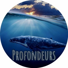 Organ' - Profondeurs (Tribecore)