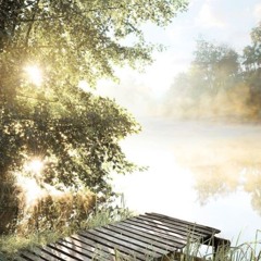 Zomer drang Vol. 1 - Zeb Welles & Joep Hegeman
