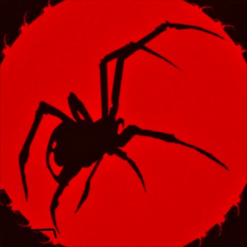 Broken Web