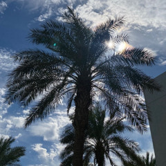 فهد السالم - سمي الروح