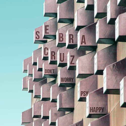 Don't Worry Psy Happy - Sebra Cruz