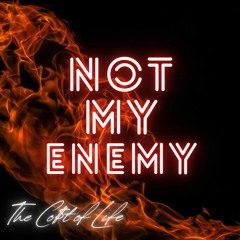 Not My Enemy