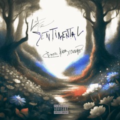 Sentimental (prod. kaizzr x clutchmp3)