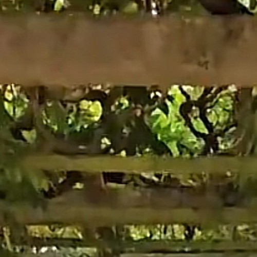 my-fortunate-one.mp3