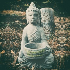 If you meet Buddha ... (naviarhaiku453)