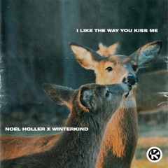 Noel Holler x WINTERKIND - i like the way you kiss me (Extended Mix)