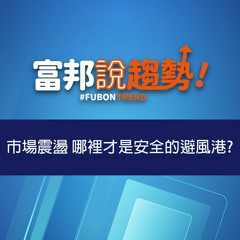 市場震盪 哪裡才是安全的避風港?