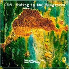 G303 "Hiding in the mangroves" (De Filip Remix) [BOSH Recordings] (Out FEB 2026)