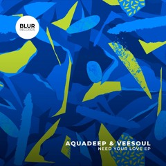 PREMIERE: Aquadeep & Veesoul - Need Your Love [Blur Records]