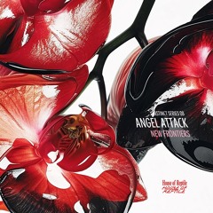 Angel Attack - Vortex