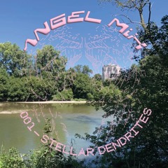 ANGEL MIX 001 - STELLAR DENDRITES