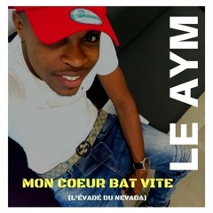 LE AYM L'ÉVADE DU NEVADA TECHNO REMIX (Shatta Techno)