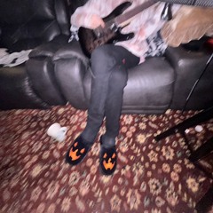 Chinchilla Coat / wardrobe