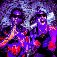 GAWD DAMN HIGH - LYSERGIIX Flip