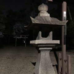 乱射 (feat. looser)