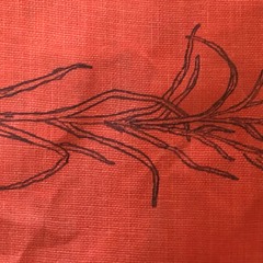 Born W My Eye's Wide Open