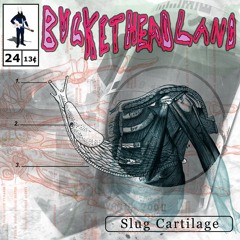 Buckethead - Scowl Owl