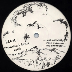 Promised Land (LiAM edit)