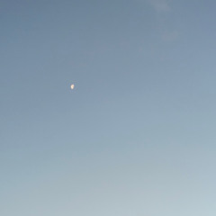 Afternoon Moon (Live Ambient Improvisation 27/10/25)