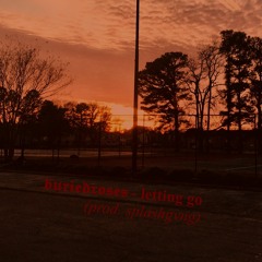 letting go (prod. splashgvng)
