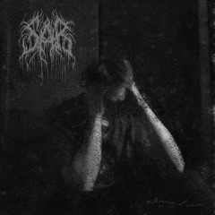 Sår - You Will Never Be The Same