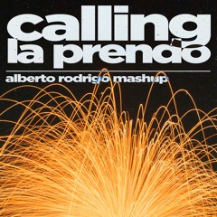 Bad Gyal vs. Sebastian Ingrosso - La Prendo vs. Calling (Alberto Rodrigo Mashup)