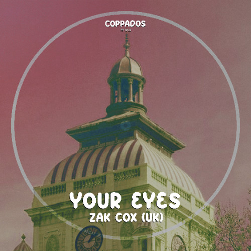 Zak Cox (UK) - New Funk (Original Mix)