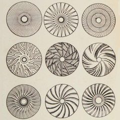Grist To The Mill