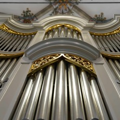 Grote Kerk Dordrecht (NL) - Bach-organ (Sweelinq)
