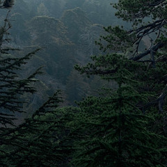 Засыпай [Anesthesia]