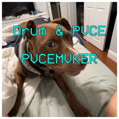 Drum & PVCE