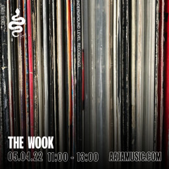 The Wook - Aaja Channel 1 - 05 04 22