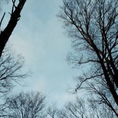 Midvinter