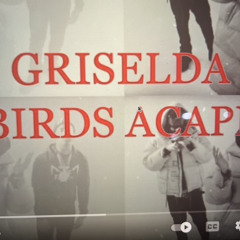 GRISELDA Dr.Birds Remix