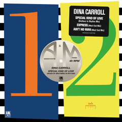 美品EUオリジナル DINA CARROLL UK SOUL R&B q-