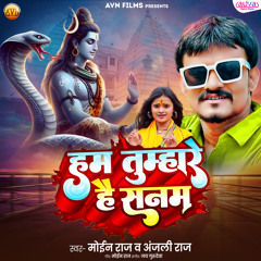 Ham Tumare Hai Sanam (feat. Anjali Raj)