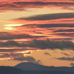 Fresh Moods Shiny Cage.mp3