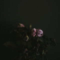 JavaGeens - come with me