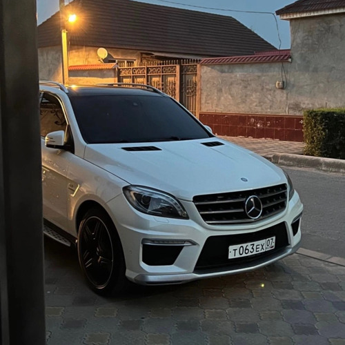 MACAN, The Limba - maybe