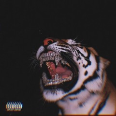 Tell the truth(Outro)