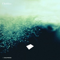 Darkfloor 58 - Scald Process - Modern Classical, Ambient and IDM