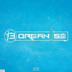 13 Balle-13 Orgnanisé