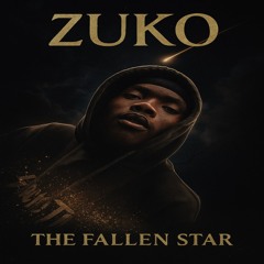 Zuko The Fallen Star
