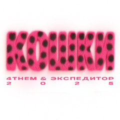 КОШКИ /w ЭКСПЕДИТОР
