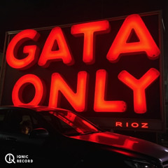 Floyy Menor Cris MJ Gata Only (Rioz Remix)