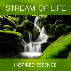Stream of Life