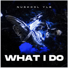 NuSkoolYLB - What I Do