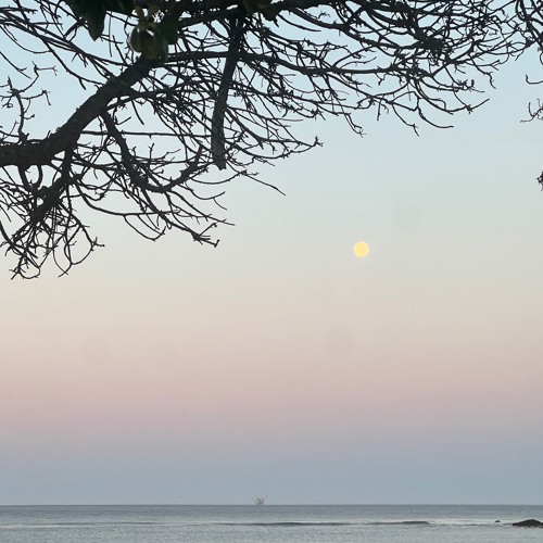 What is Alive deep Inside