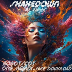 Shakedown - At Night- Dnb Remix